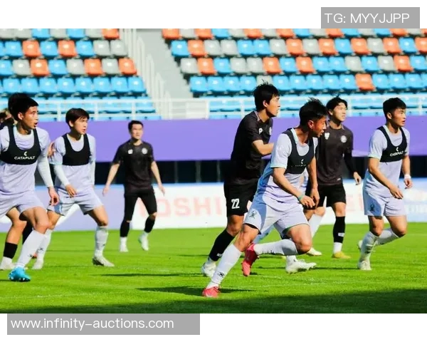 杭州足球队在锦标赛中的灵活性表现及其对比赛结果的影响分析